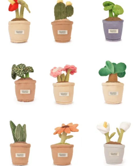 Doudou et Compagnie Peluche fleur - 9 cm - Botanique - Cactus Vert> Peluche Adulte|Peluches