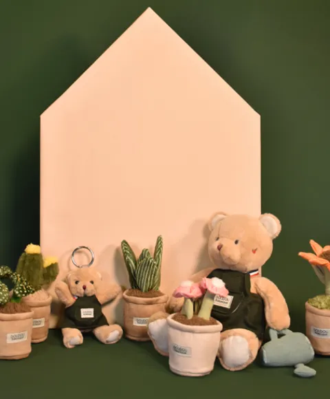 Doudou et Compagnie Peluche fleur - 9 cm - Botanique - Cactus Vert> Peluche Adulte|Peluches